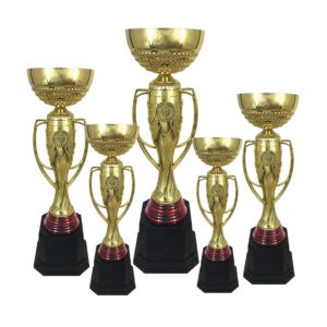 Cup Trophy Golden Cup Trophy ICBAW704 Golden Cup Trophy ICBAW704