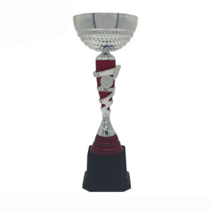 Silver Cup Trophy ICBAW708SR