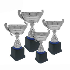 Silver Cup Trophy ICBAW709S