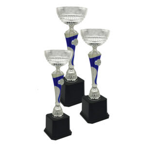 Silver Cup Trophy ICBAW711S