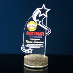 Acrylic LED Trophy SP5067