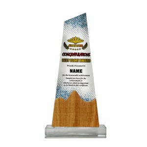 Acrylic Plaque SP5106