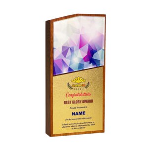 Acrylic Plaque SP5111