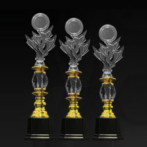 Acrylic Trophy Acrylic Trophy AC4347 Acrylic Trophy AC4347