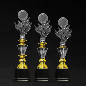 Acrylic Trophy Acrylic Trophy AC4348 Acrylic Trophy AC4348