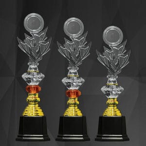 Acrylic Trophy AC4349