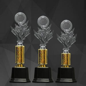 Acrylic Trophy AC4350