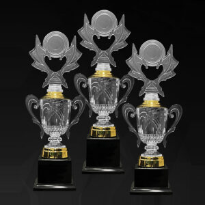 Acrylic Trophy AC4354