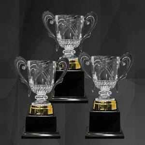 Acrylic Trophy AC4355