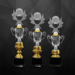 Acrylic Trophy AC4361