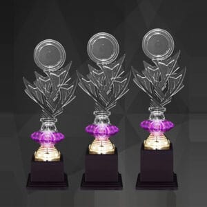 Acrylic Trophy AC4366
