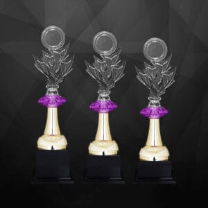 Acrylic Trophy AC4367