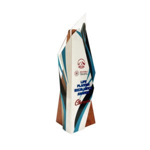 Custom Trophy WP7431