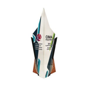 Custom Trophy WP7435
