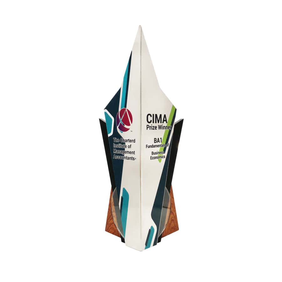Custom Trophy Custom Trophy WP7435 Custom Trophy WP7435
