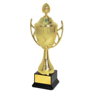 Acrylic Trophy CA1956