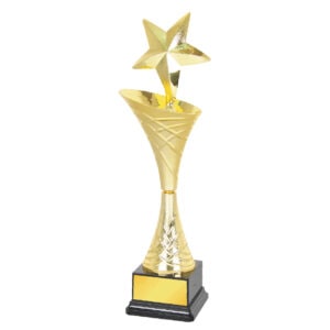 Acrylic Trophy CA1960