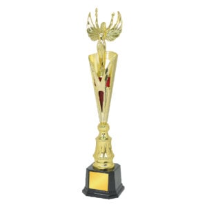 Acrylic Trophy CA1961