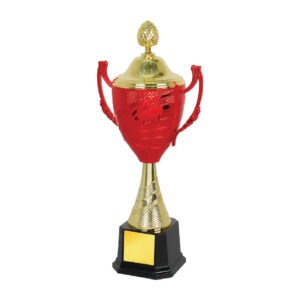 Acrylic Trophy CA1965