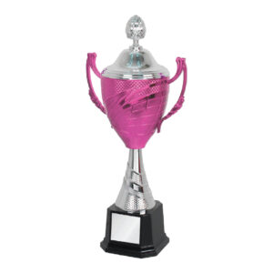 Acrylic Trophy CA1966