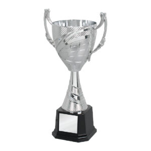Acrylic Trophy CA1968