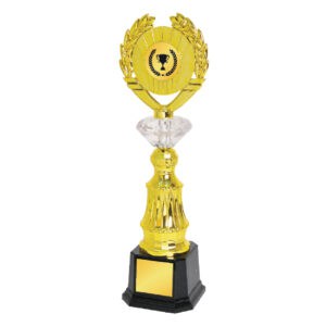 Acrylic Trophy CA1970