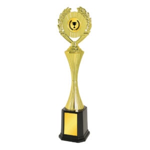 Acrylic Trophy CA1974