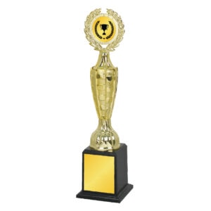 Acrylic Trophy CA1983