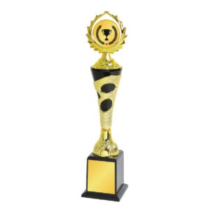 Acrylic Trophy CA1989