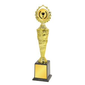 Acrylic Trophy CA1990