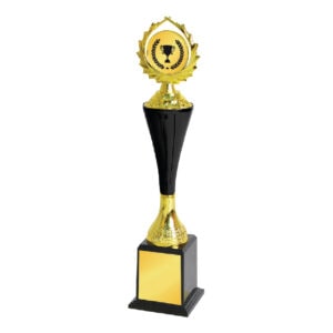 Acrylic Trophy CA1992