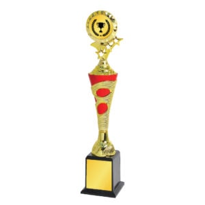 Acrylic Trophy CA1995