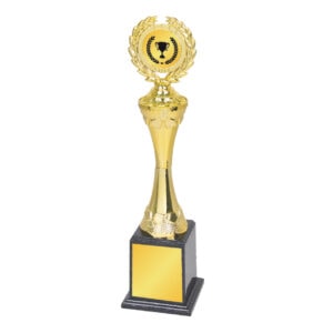 Acrylic Trophy CA2000