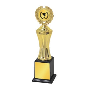 Acrylic Trophy CA2002