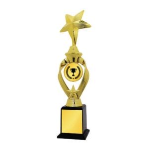 Acrylic Trophy CA2010