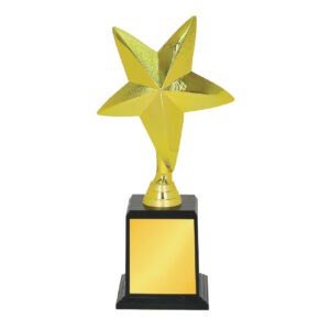 Acrylic Trophy CA2015