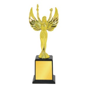 Acrylic Trophy CA2017