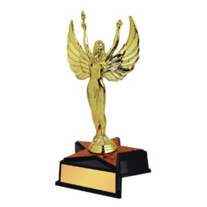 Acrylic Trophy CA2018