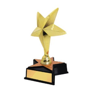 Acrylic Trophy CA2019