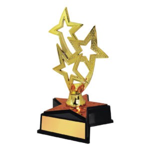 Acrylic Trophy CA2020