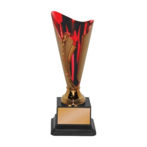 Acrylic Trophy CA2024