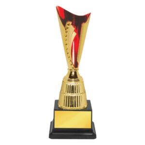 Acrylic Trophy CA2025
