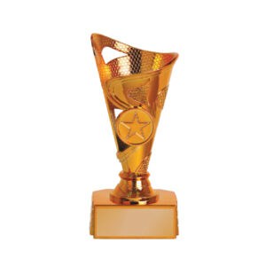 Acrylic Trophy CA2028