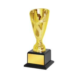 Acrylic Trophy CA2042