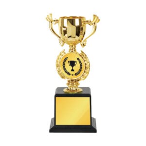 Acrylic Trophy CA2053