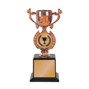 Acrylic Trophy CA2055