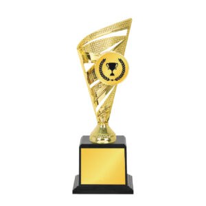 Acrylic Trophy CA2056