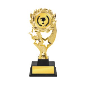 Acrylic Trophy CA2061