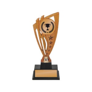 Acrylic Trophy CA2066