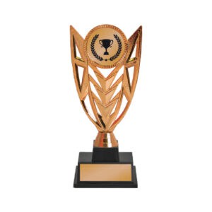 Acrylic Trophy CA2069